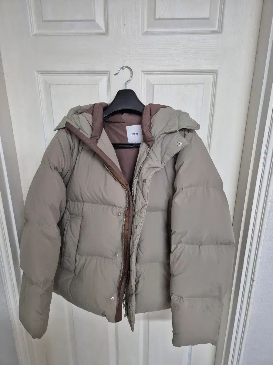 SPY×FAMILY ダウン L