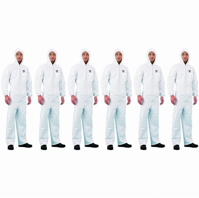 アゼアス タイベック（Ｒ） 製続服 １０１０Ｂ Ｌ 6個セット