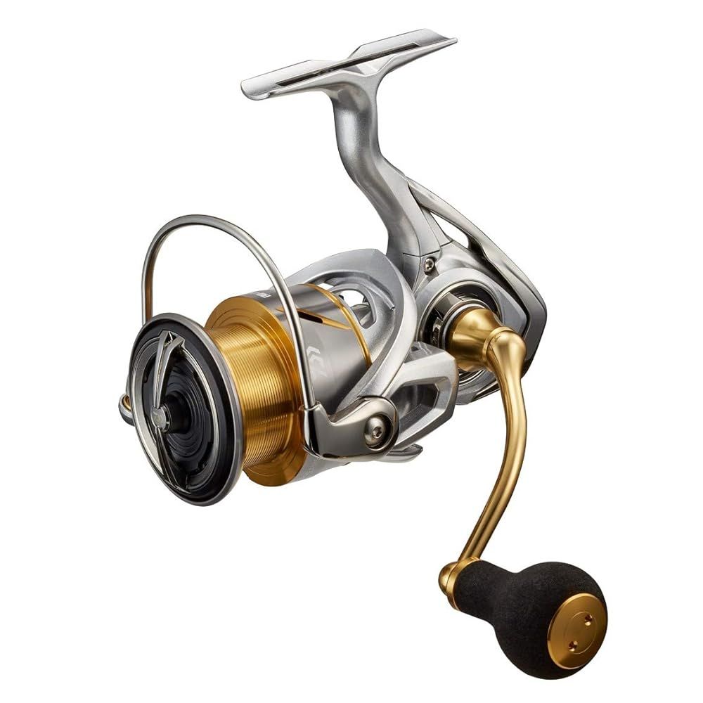 ダイワ DAIWA 21 フリームス LT 4000 C