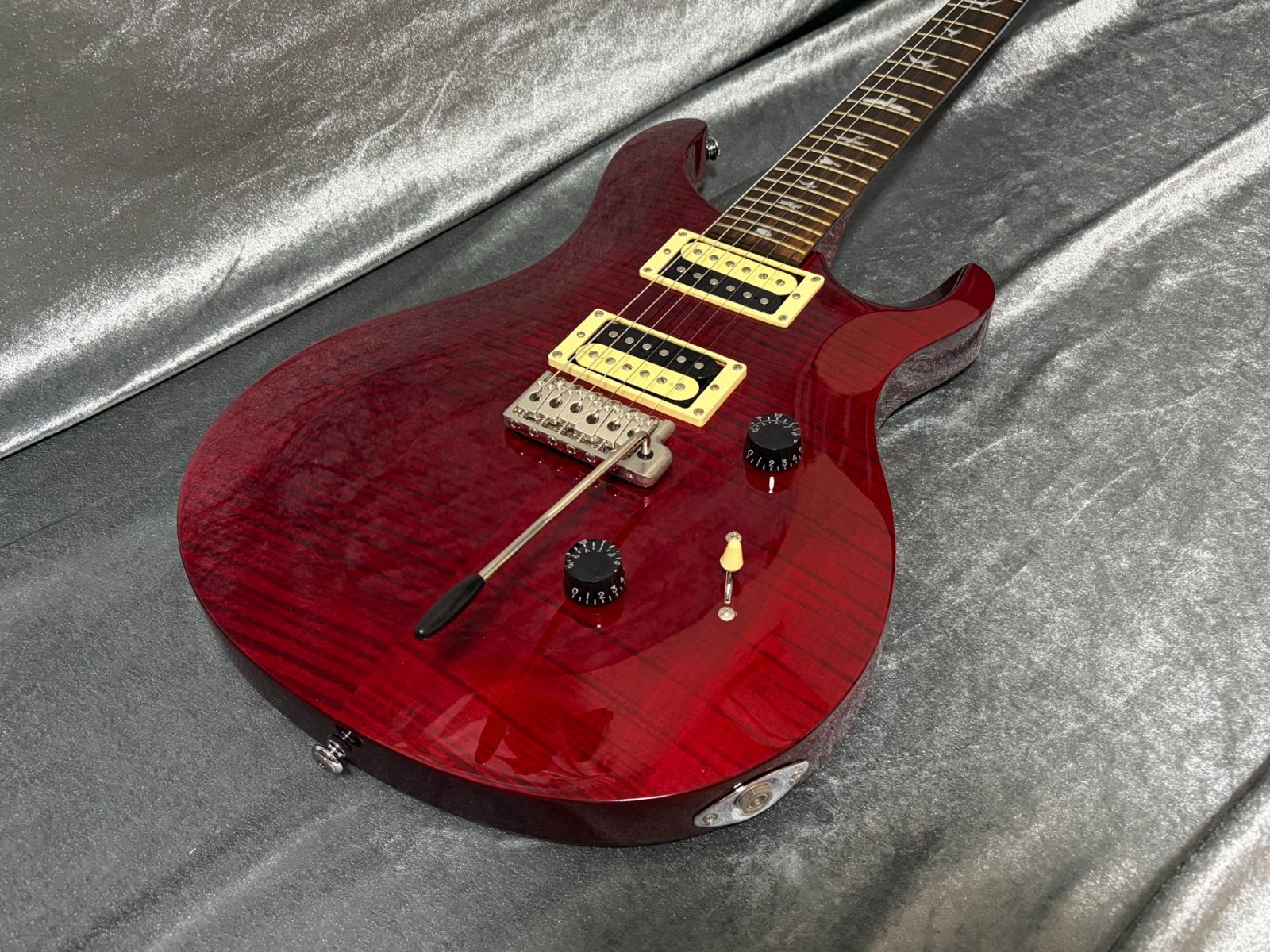 Paul Reed Smith PRS SE Custom24 カスタム24 バードインレイ コイル
