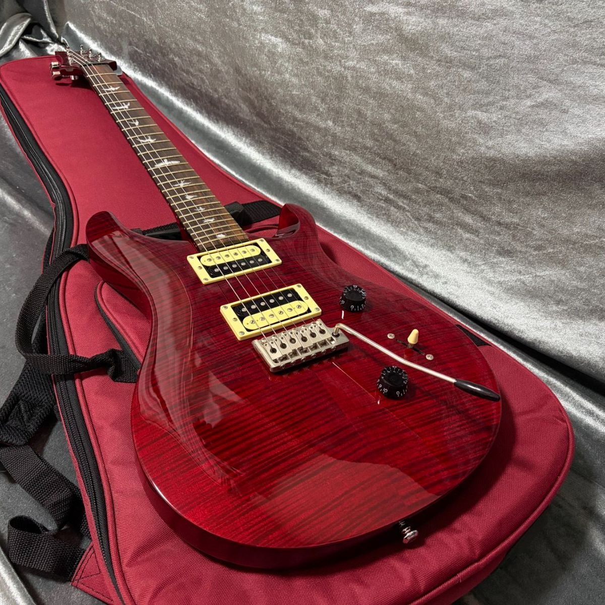 Paul Reed Smith PRS SE Custom24 カスタム24 バードインレイ コイル