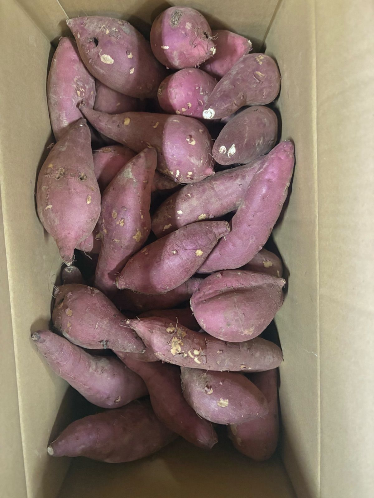 高糖度さつまいも 熟成さつまいも 20kg （10kg×2箱）大分特産 甘太くん