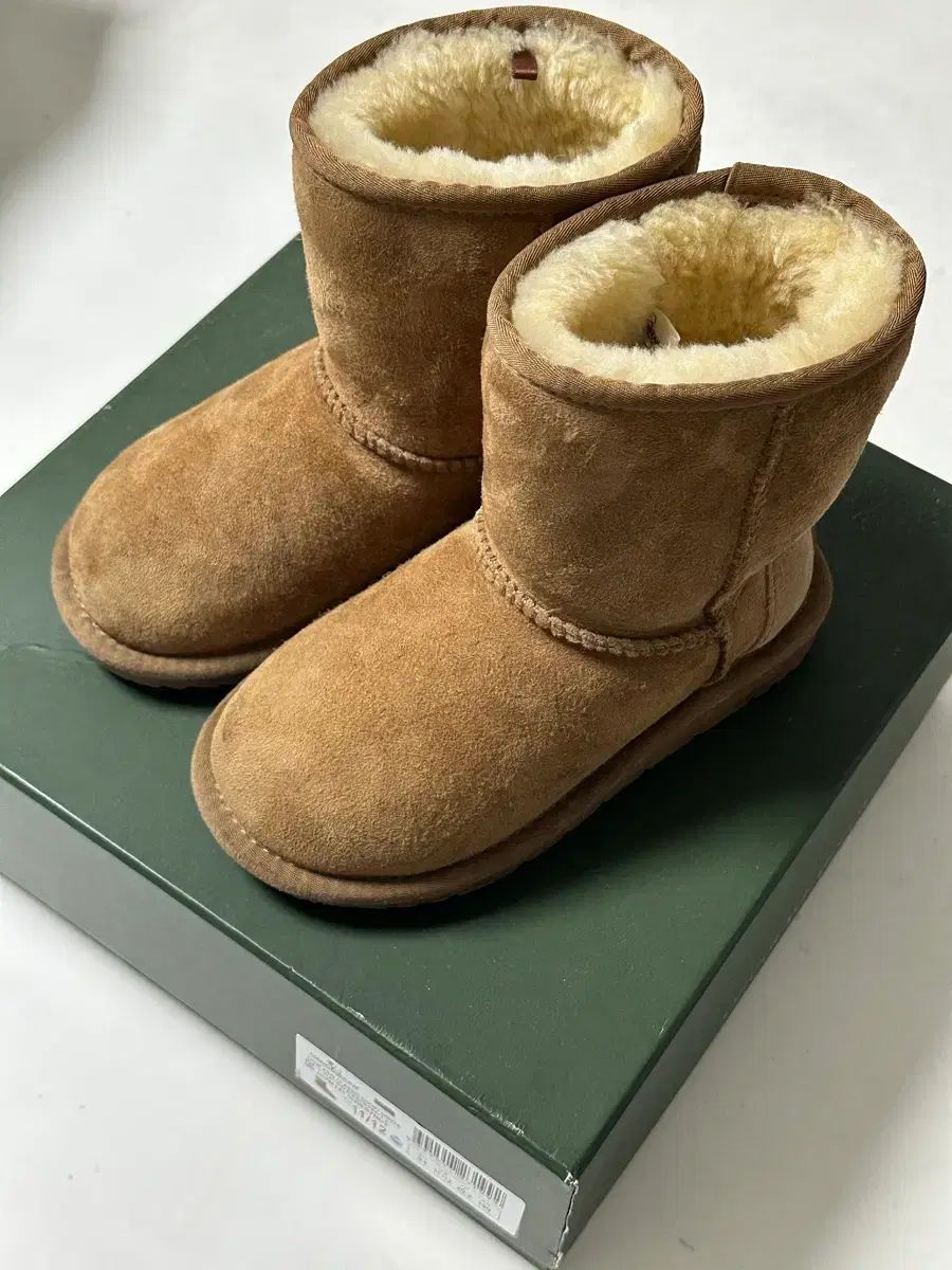 オッズウェア アグ チェスナット 190