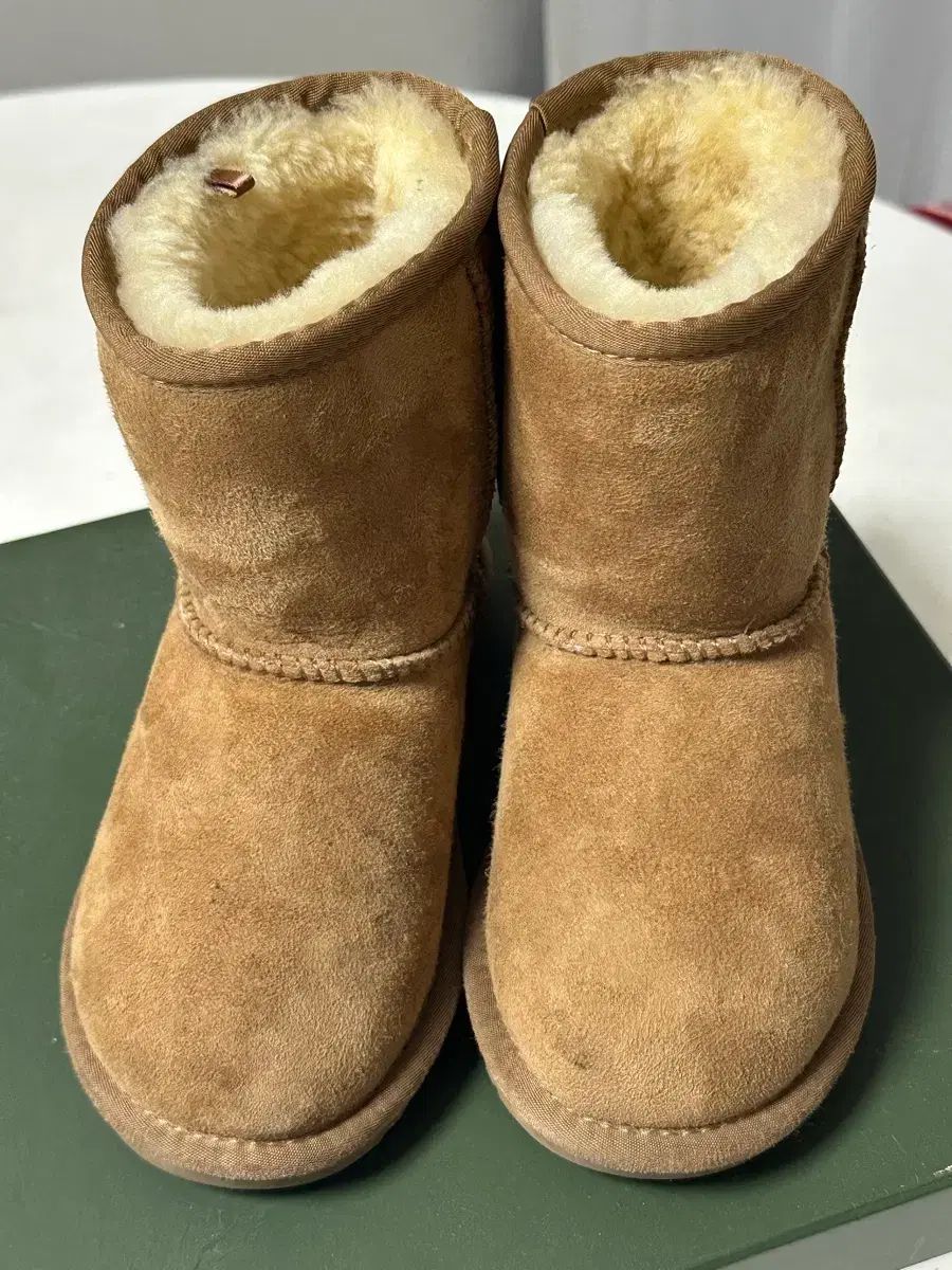 オッズウェア アグ チェスナット 190