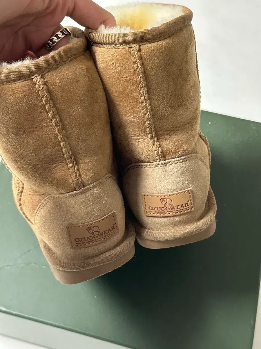 チェスナット 190