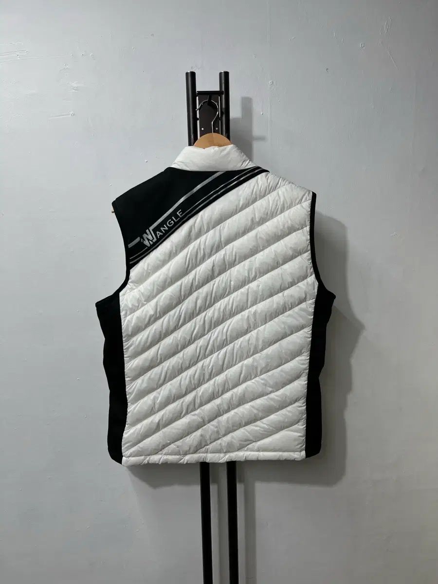 22年式 WIDE ANGLE グース ダウン ベスト 110