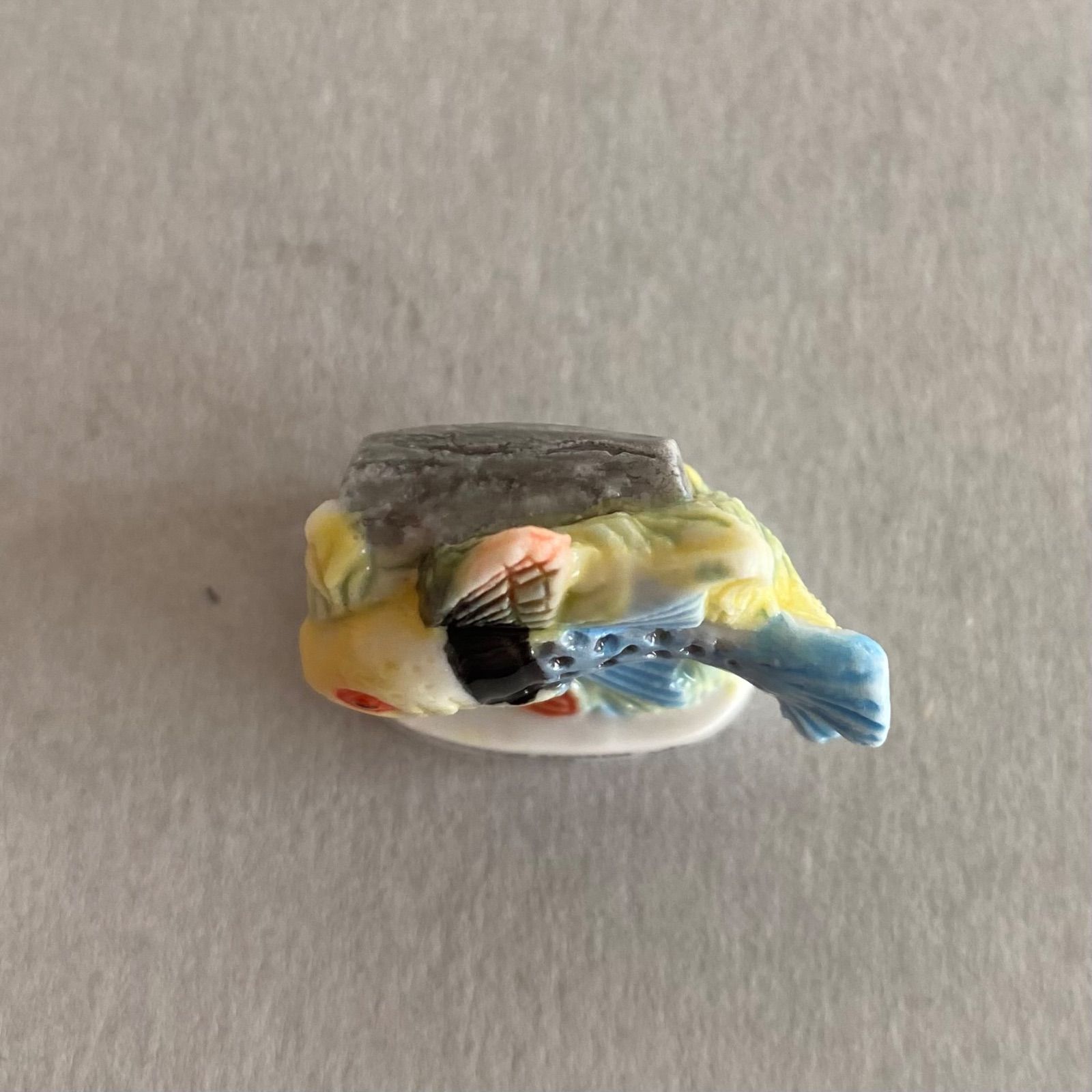 パジャマフィッシュのフェーブ／熱帯魚／海の生き物／フランス雑貨