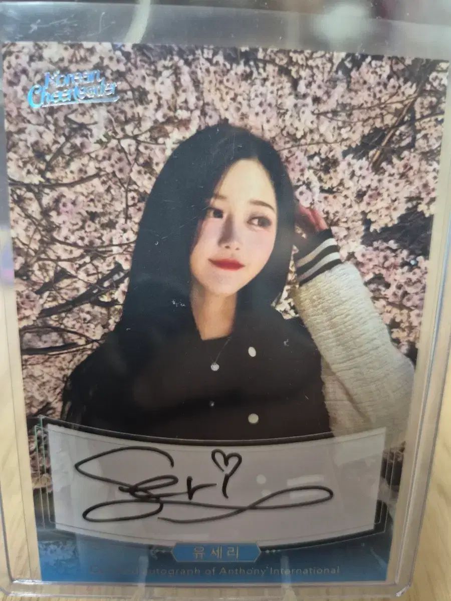 チアリーダー U リー オート 私服 野球場