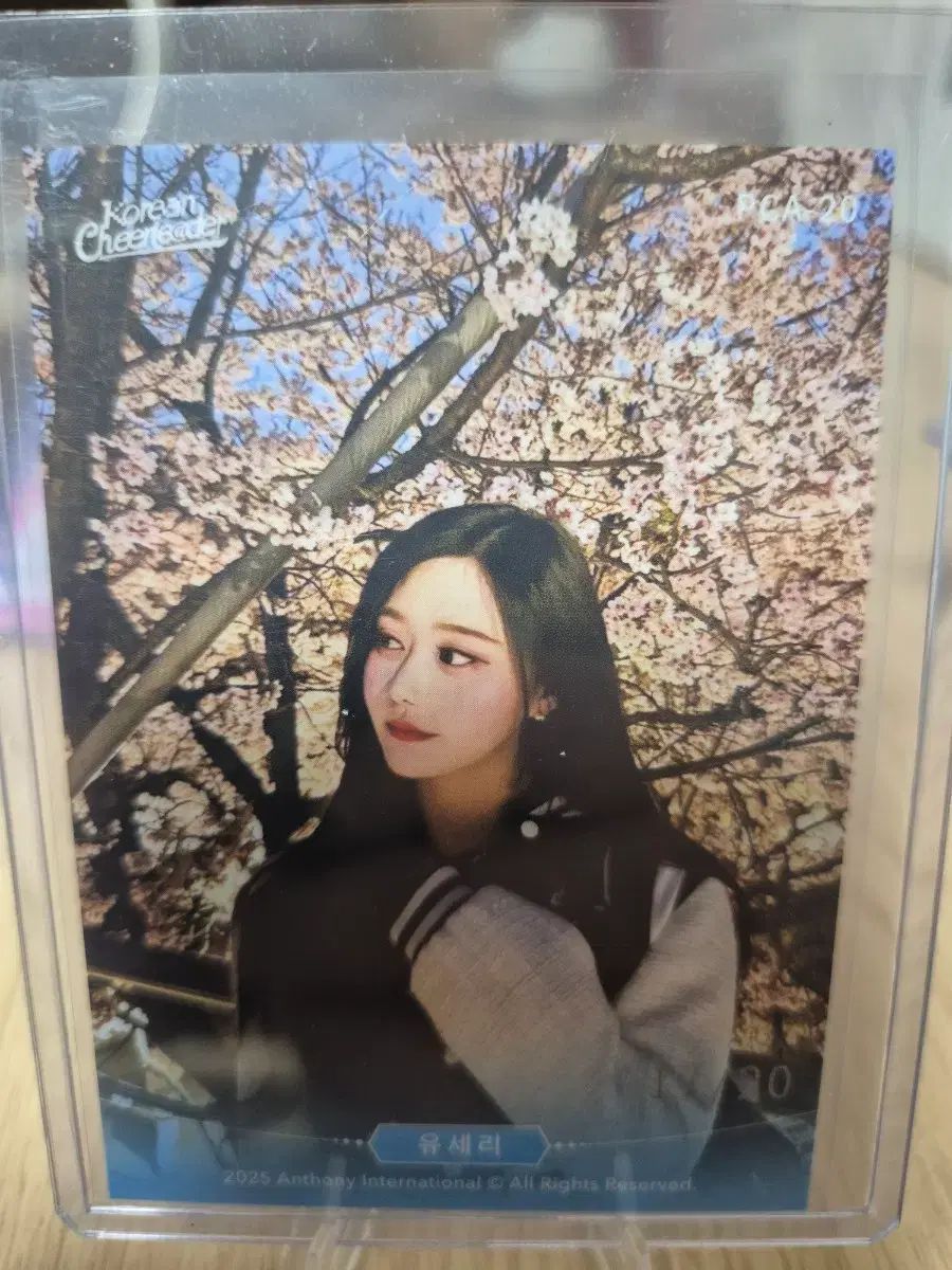 チアリーダー U リー オート 私服 野球場