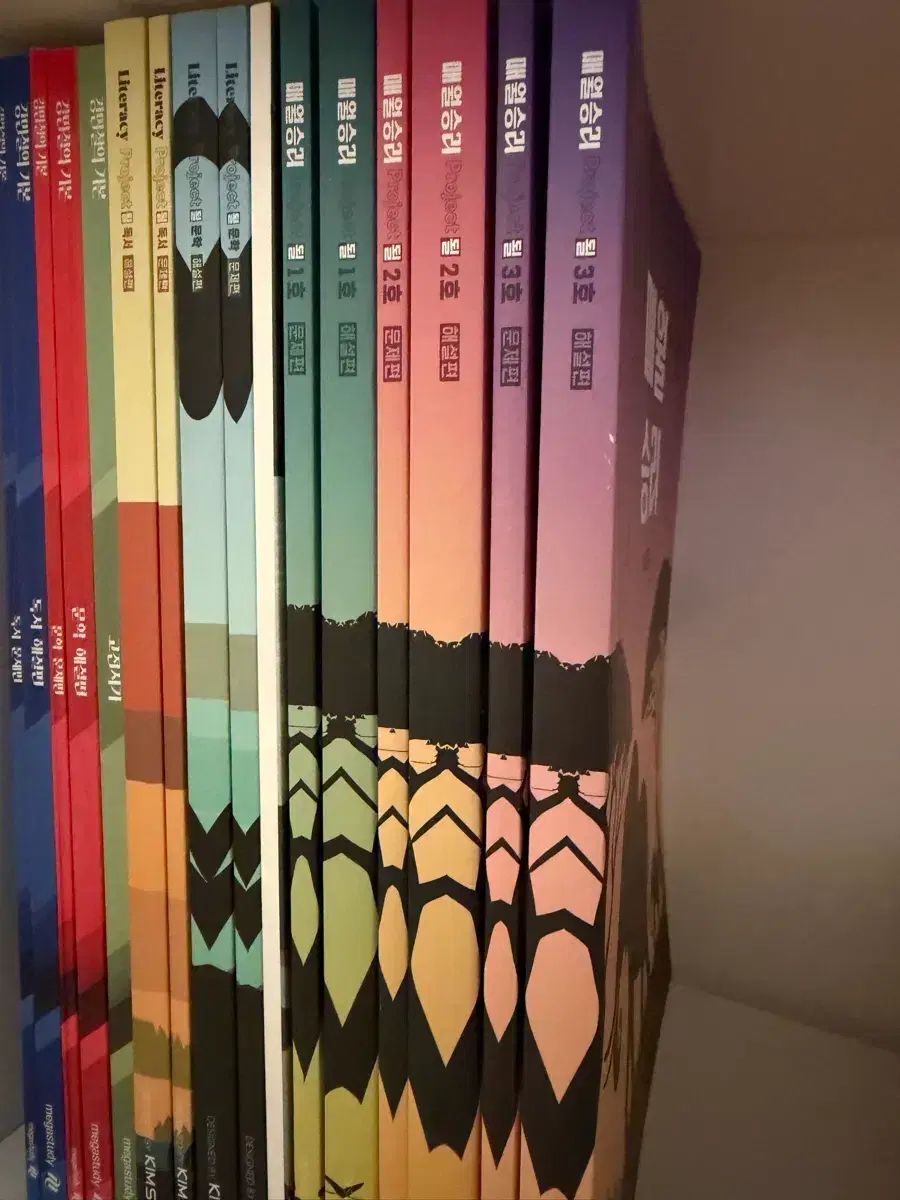 キム スンリ Project になる文学 読書 毎月勝利 完全 の本です