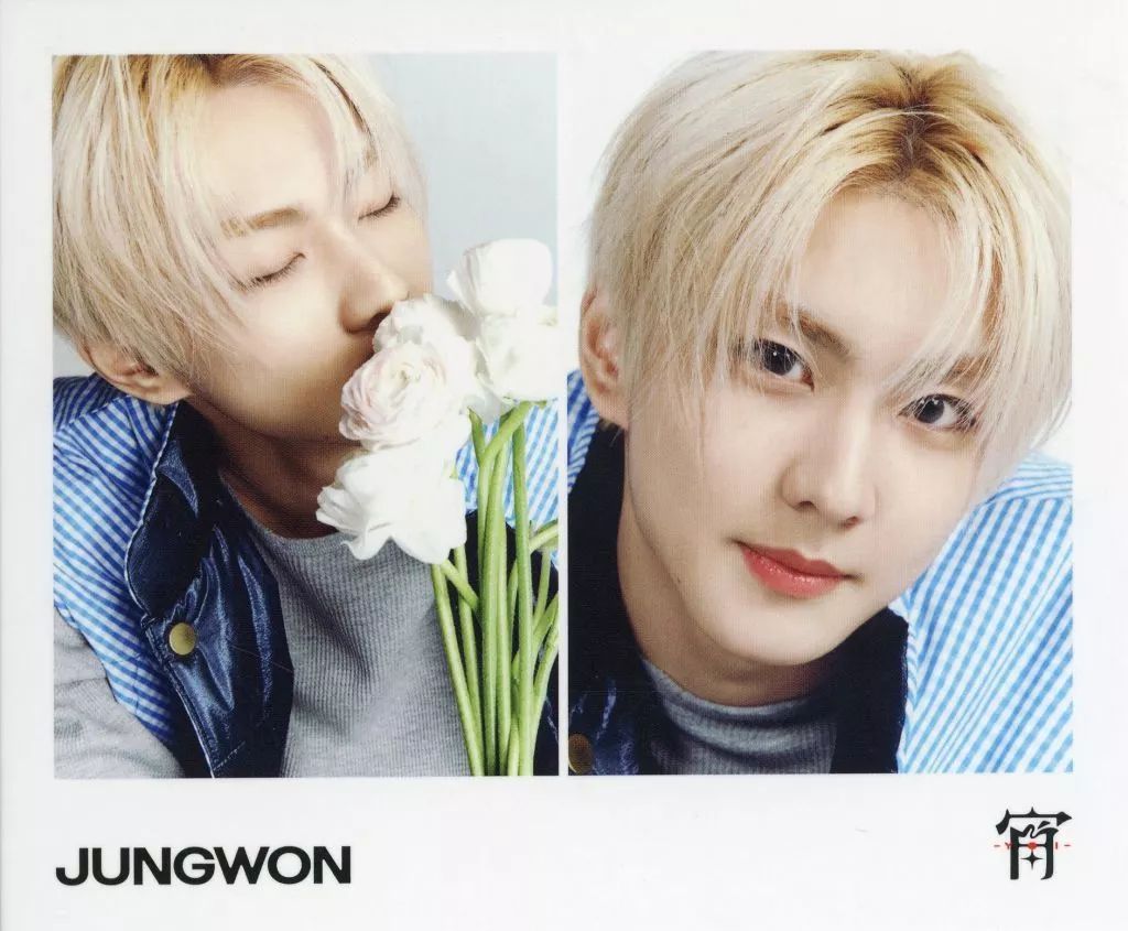 中古】キャラカード ジョンウォン(ENHYPEN) フォトストリップ EN ver