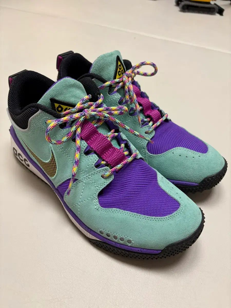 ナイキ acg ドッグマウンテン ミント 285