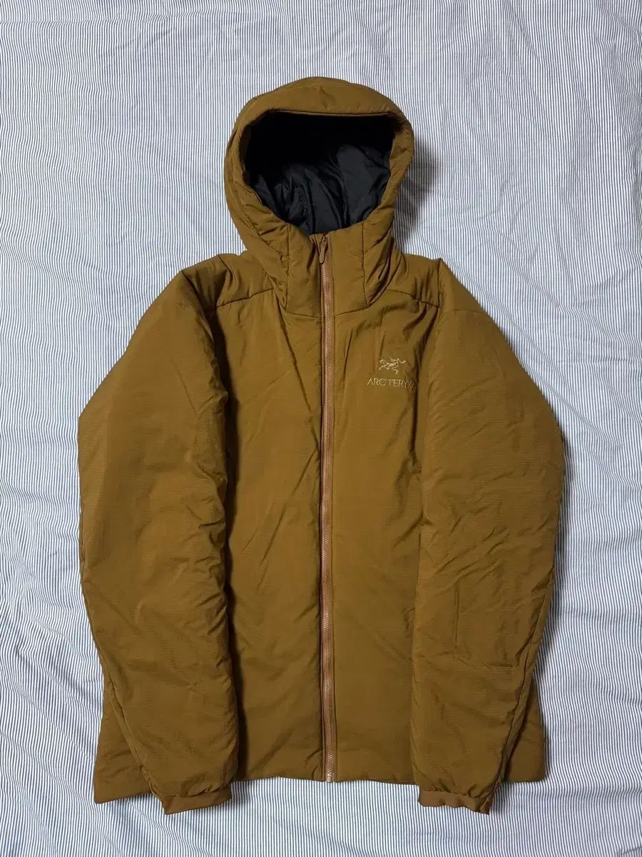 SS級 ARC TERYX アークテリクス Atom アトム AR フーディ Relic XL