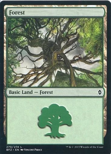 中古】マジックザギャザリング [C]：Forest(273/274)/森(273/274