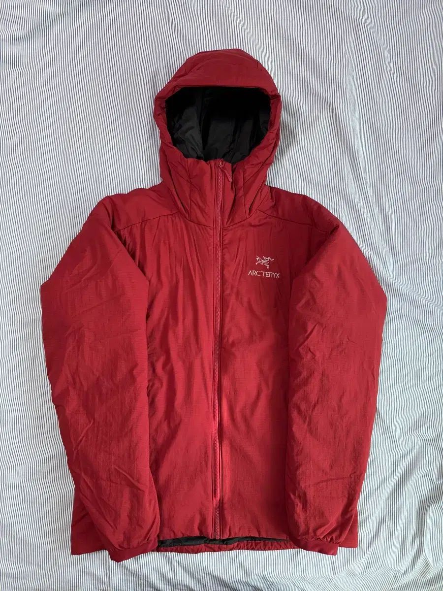 SS級 ARC TERYX アトム AR フーディー ボルドー