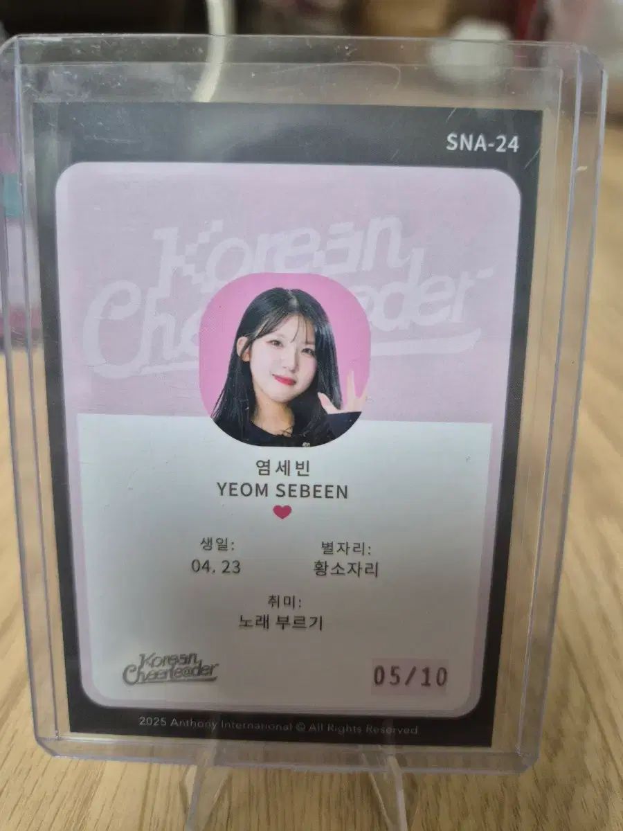 チアリーダー ヨムセビン SNSオート