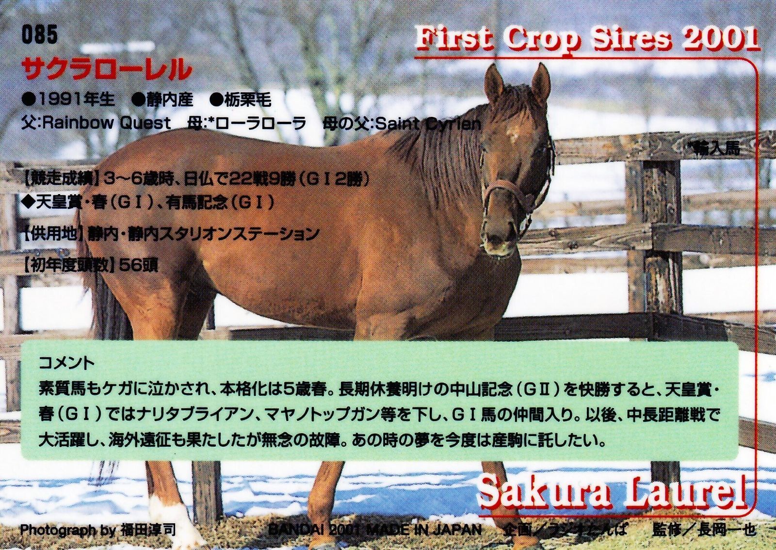 匿名配送】挑戦サクラローレル物語【初版帯付き】 匿名配送】挑戦