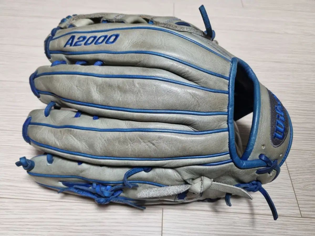 ウィルソン A 2000 プーイグ 外野 グローブ