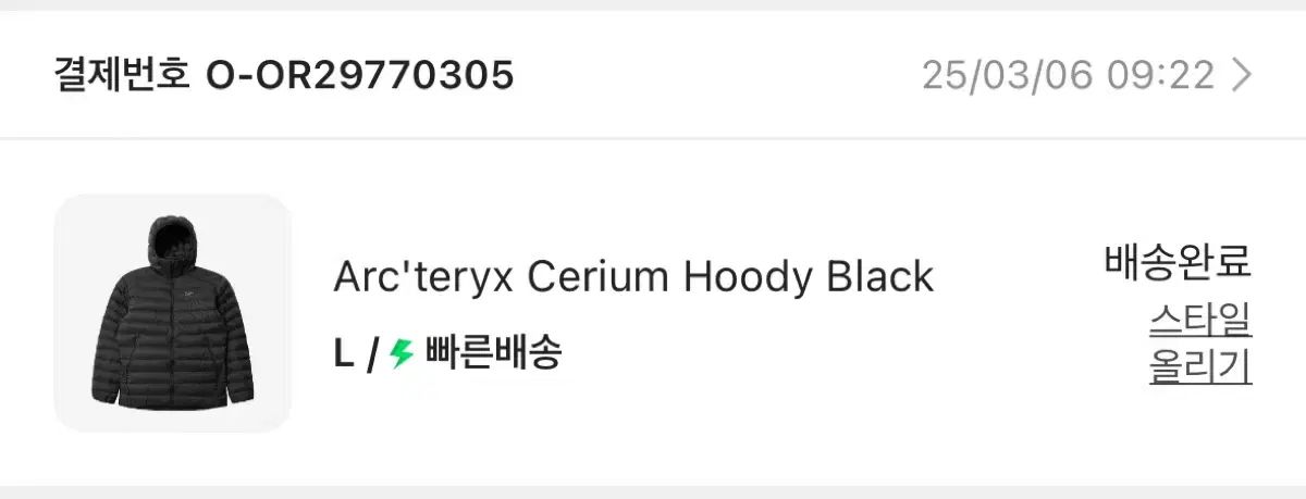 L ARC TERYX Cerium アークテリクス セリウム フーディー ブラック