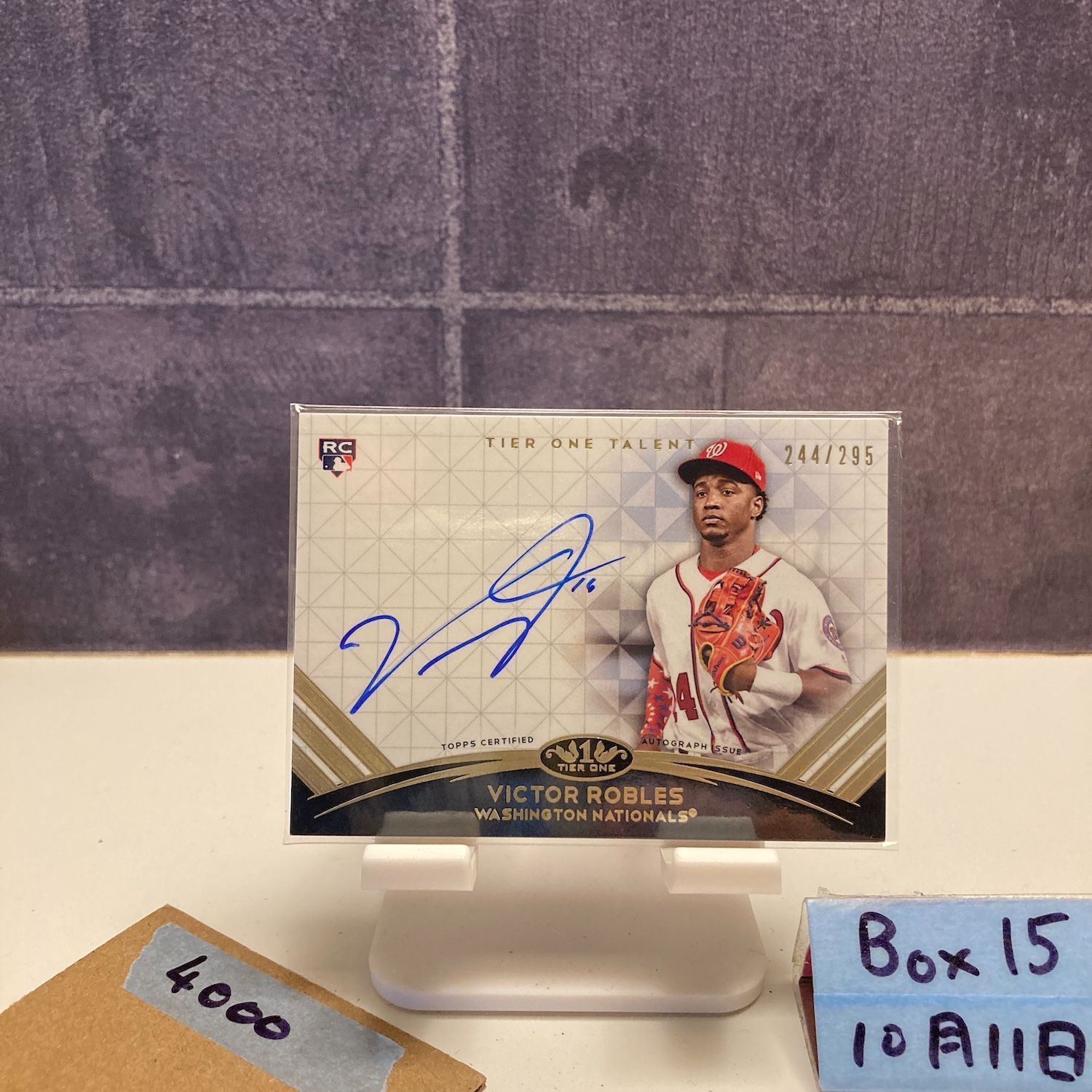 2018 Topps Victor Robles 244/295 直筆サインカード Washington