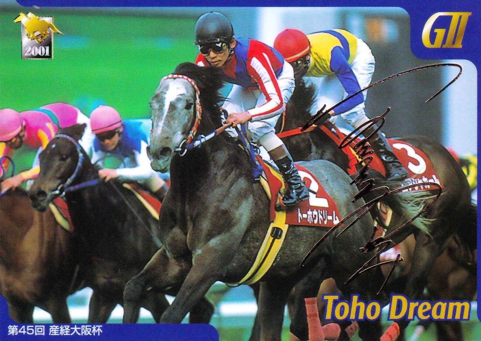 サラブレッドカード  ステイゴールド(2001ドバイシーマクラシック)※非売品 サッカーボーイ「サラブレッドカード 96年上半期版」M-11 | カード