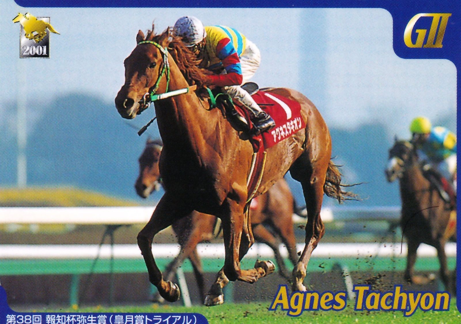 アグネスタキオン：第38回 弥生賞「サラブレッドカード 01年上半期」No