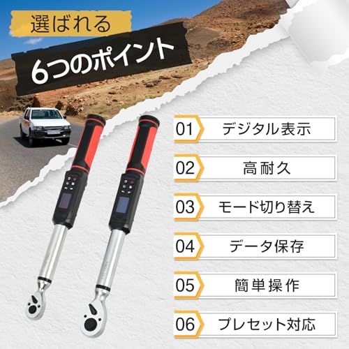  Fkstyle もう締めすぎない 高精度なトルク管理 デジタルトルクレンチ 差込角9.5 mm 12.7 2.03-135 N m プレセット型 レンチタイプ LED ブザー 振動機能 データ保存500件 トラック ピークモード 自動車整備 タイヤ交換 トルクレンチ スパナ レンチ