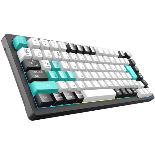 ゲーミングキーボード 業界初 日本語JIS配列＆かな印字一体化 75 コンパクト メカニカルキーボード ガスケットマウント サテライト軸 押下圧40 g PBTキーキャップ マルチノブ付き RGB LEDバックライト 1600