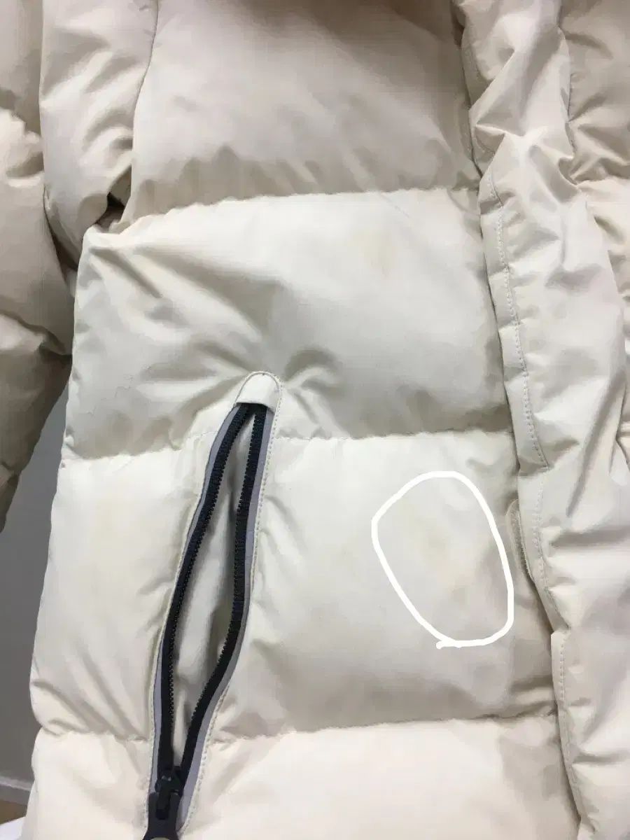 ンス ピンクファー