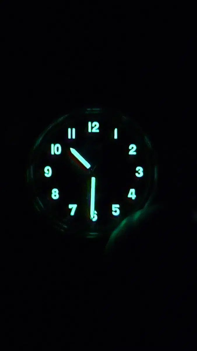  ストーバー パーティーショー グリーン リミテッド ステンカラーコート 自動巻き時計 腕時計(アナログ)