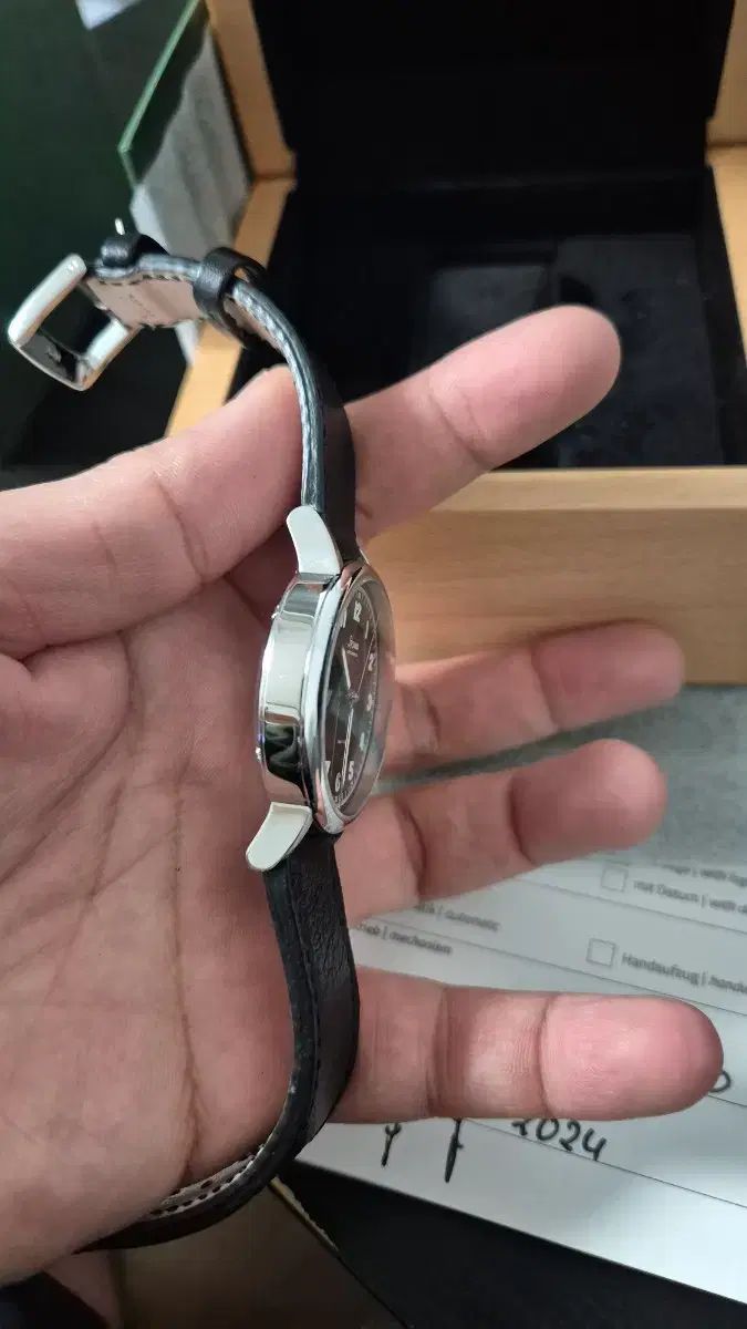 パーティーショー グリーン