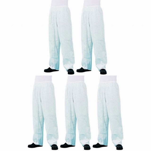 山採り天然 コハウチワカエデ イロハモミジ 2種混合株 山採り天然