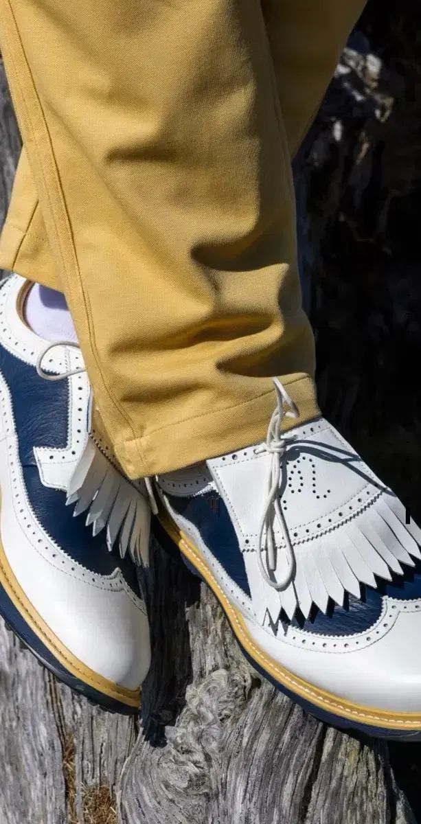 240 ゴルフシューズ adidas X MALBON GOLF MC87 限定モデル IF8648