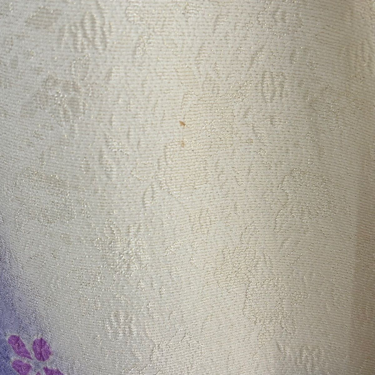  振袖 身丈160 5 cm 裄丈66 M 袷 牡丹 菊 絞り 銀通し クリーム 正絹 振袖 着物