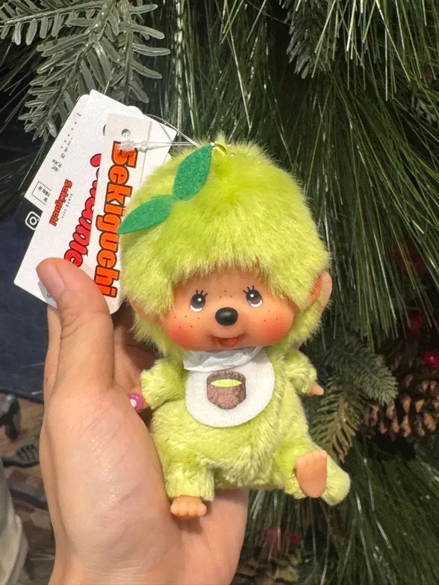 モンチッチ オファー 緑茶 正規品 2025年最新】抹茶 モンチッチの人気