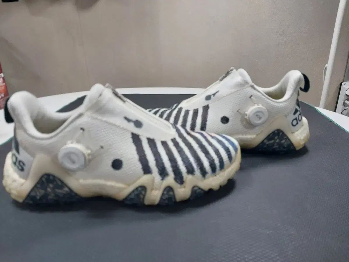 アディダス コードカオス ゴルフシューズ 260 サイズ通り