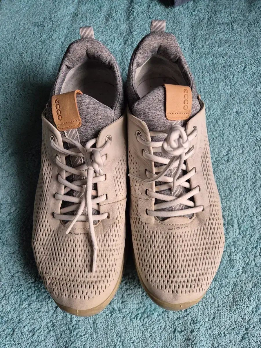 Ecco GORE TEX 265 mm BIOM ゴルフシューズ EU 42