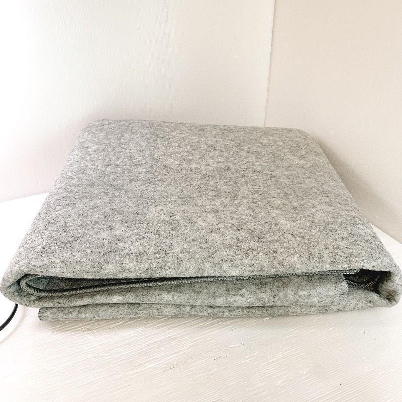 CAINZ カインズ ホットカーペット 2畳分 176cm×176cm CZ-20 2010年製