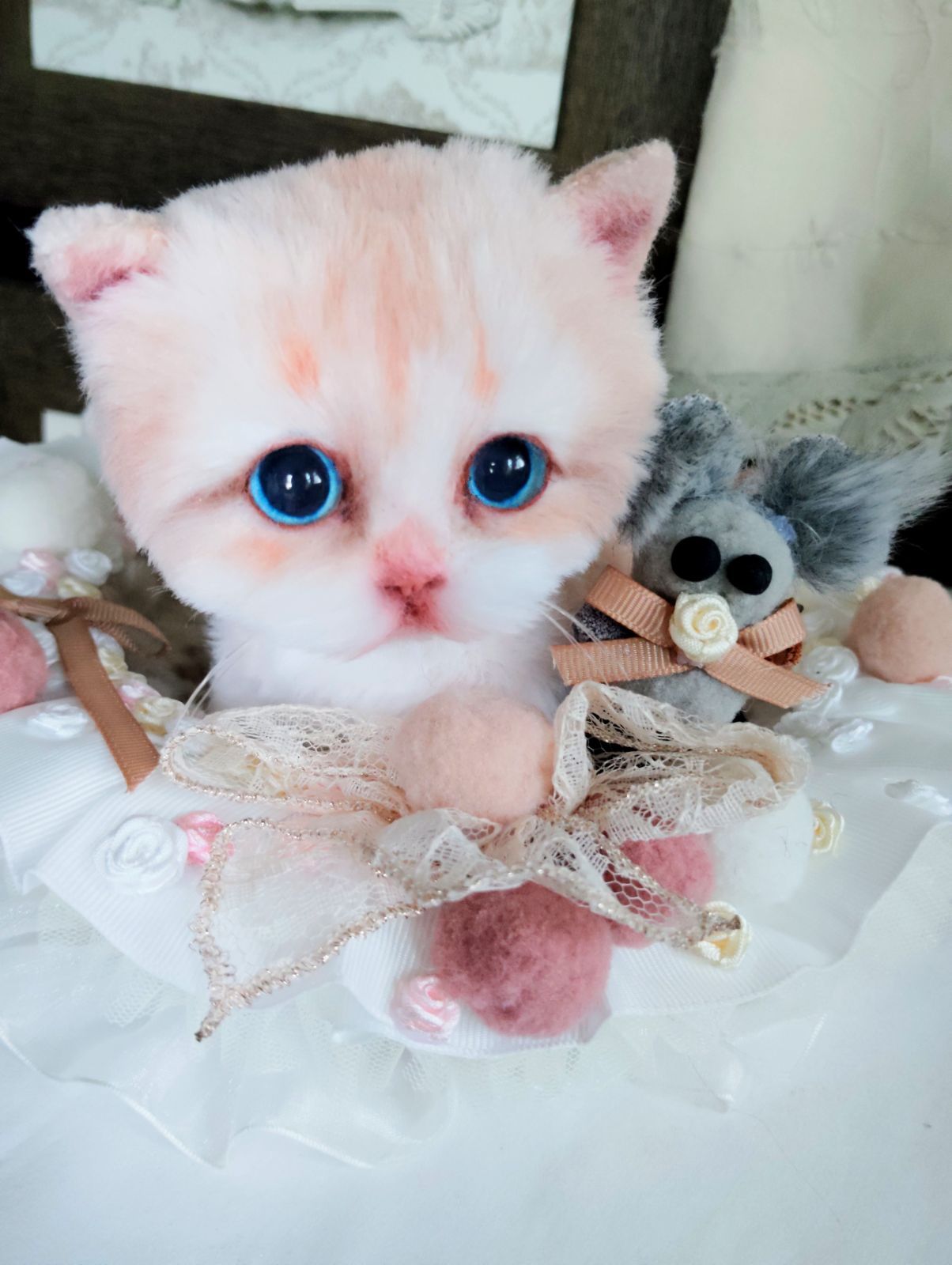 よちよちあんよ♡短足もちもちボディ♡くりくりオメメのマンチカン子猫