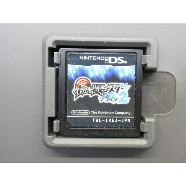 DS ニンテンドー