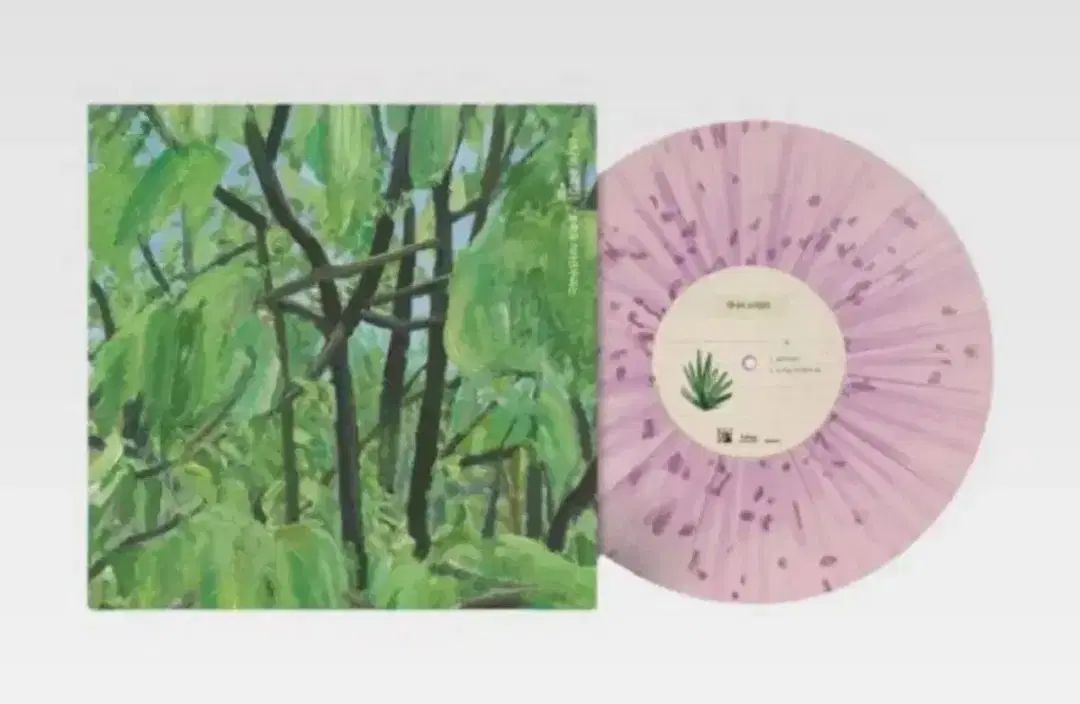 JANNABI ソングブック 2 緑色のものを手に入れました LP ピンク