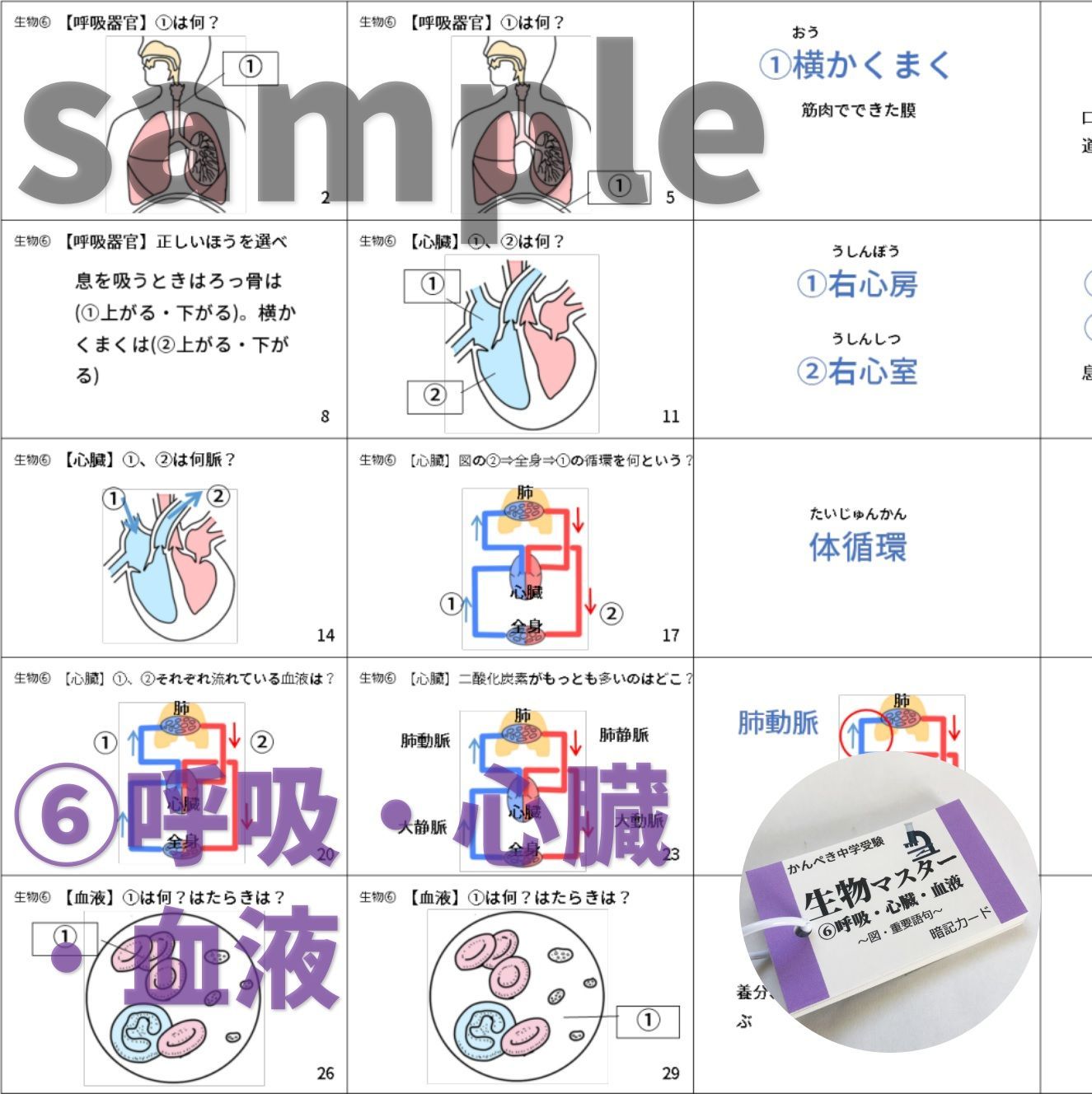 ○【074】セット商品 かんぺき中学受験理科 化学・地学・生物・物理