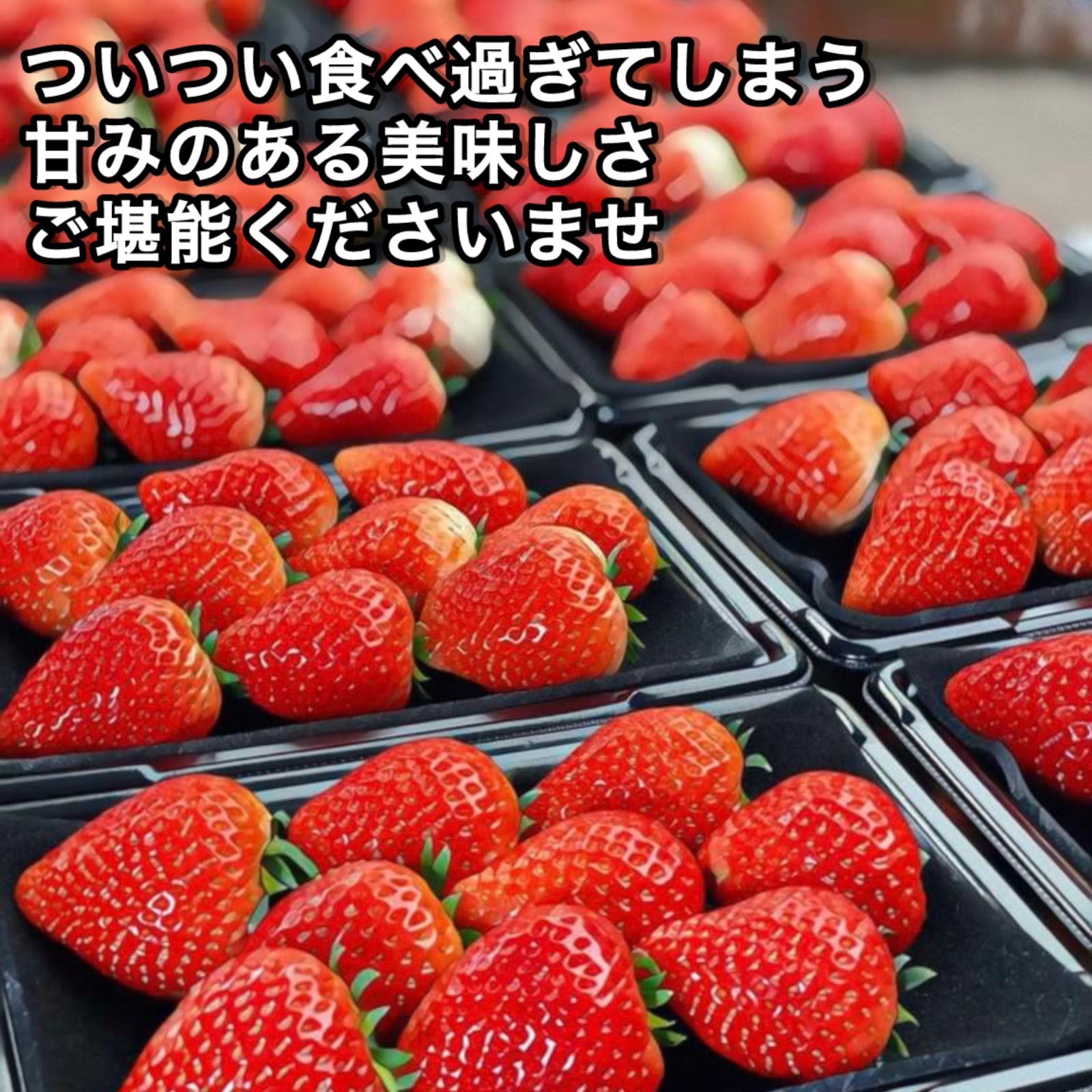 A級品 いちご 栃木 とちあいか 減農薬 A級品 とちあいか 6.52kg 減農薬 栃木県産いちご - メルカリ