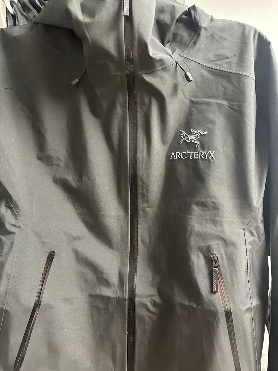ARC TERYX アークテリクス ベータ LT サイズ L