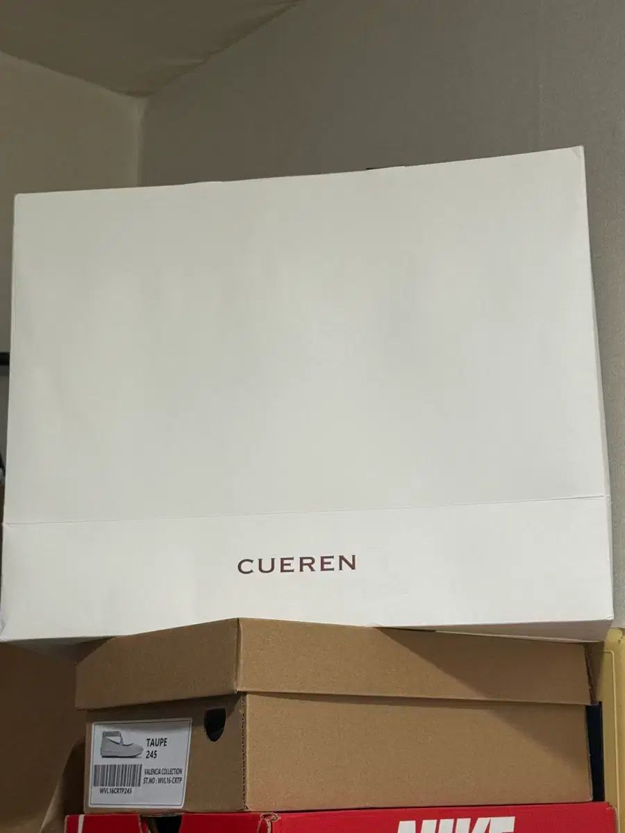 バレリーナシューズ 245