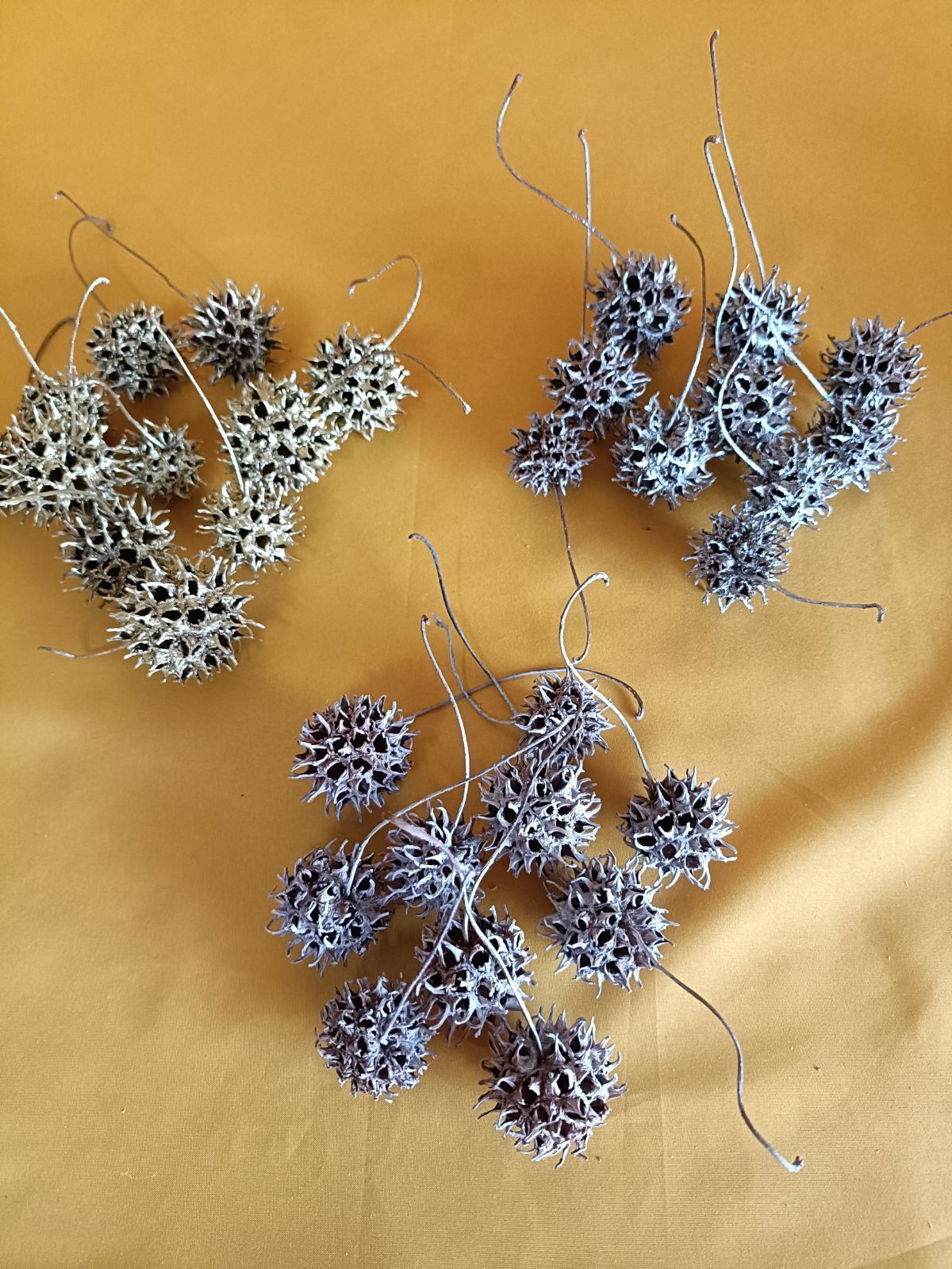 リース材料 モミジバフウゴールド、シルバー、ホワイト - メルカリ