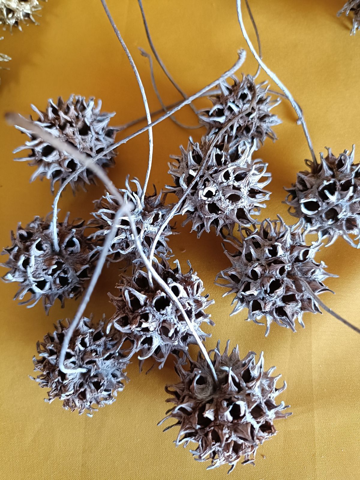 リース材料 モミジバフウゴールド、シルバー、ホワイト - メルカリ