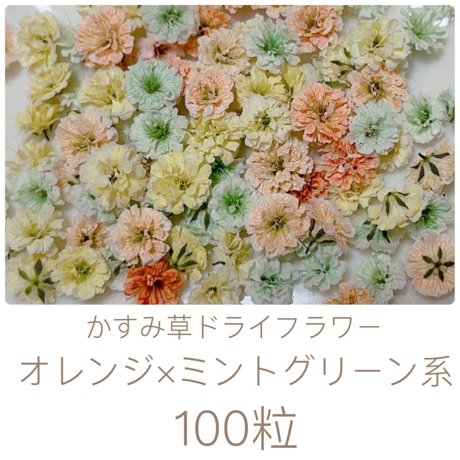 オレンジ×ミントグリーン系 かすみ草ドライフラワー100粒 - メルカリ