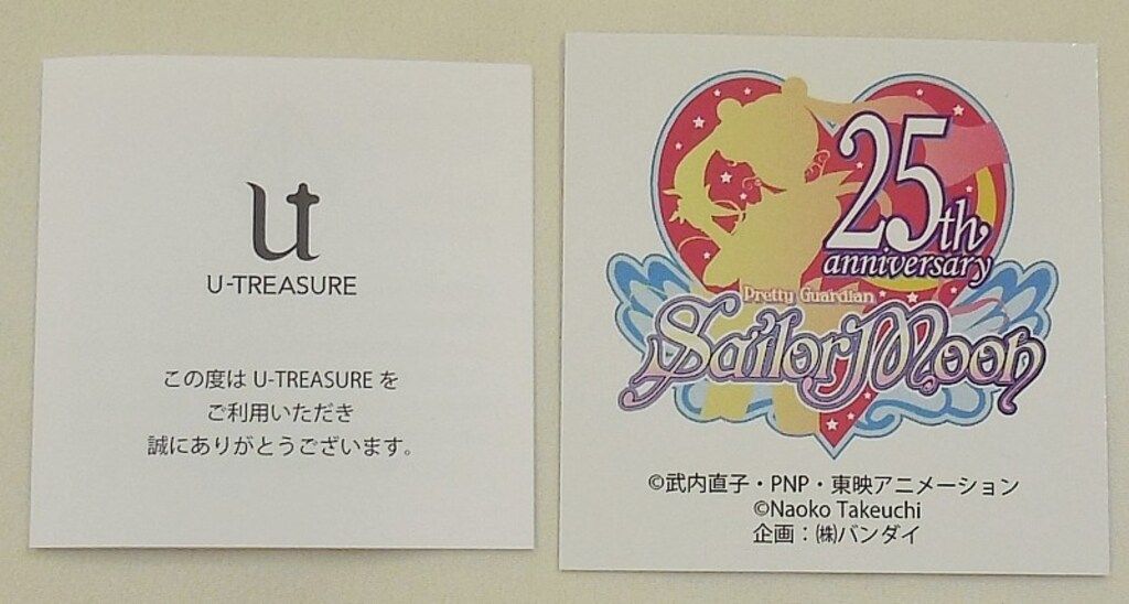 シルバー925 10.0号