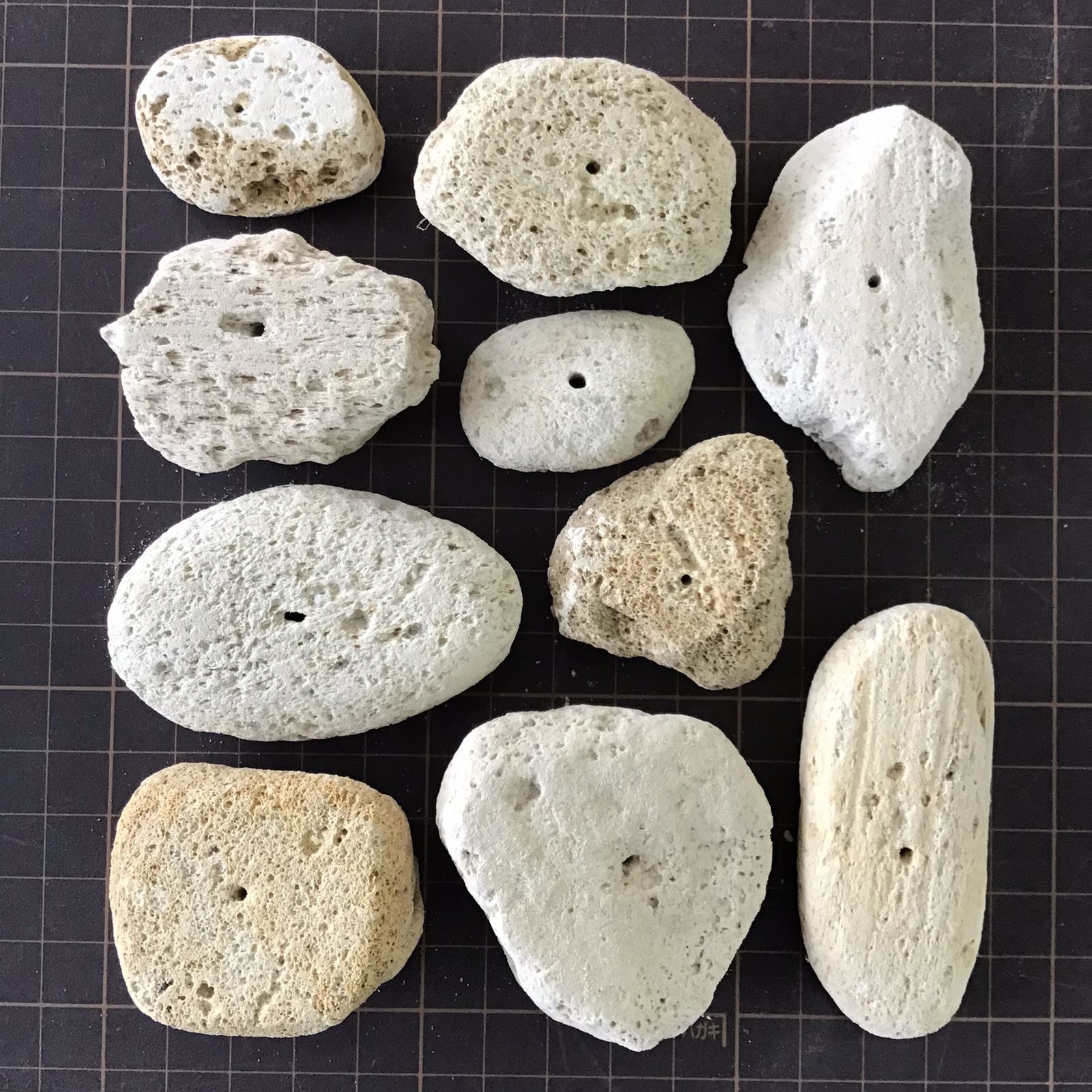 お試しセット｜アイテラスの軽石鉢 10点セット｜軽量＆通気性抜群